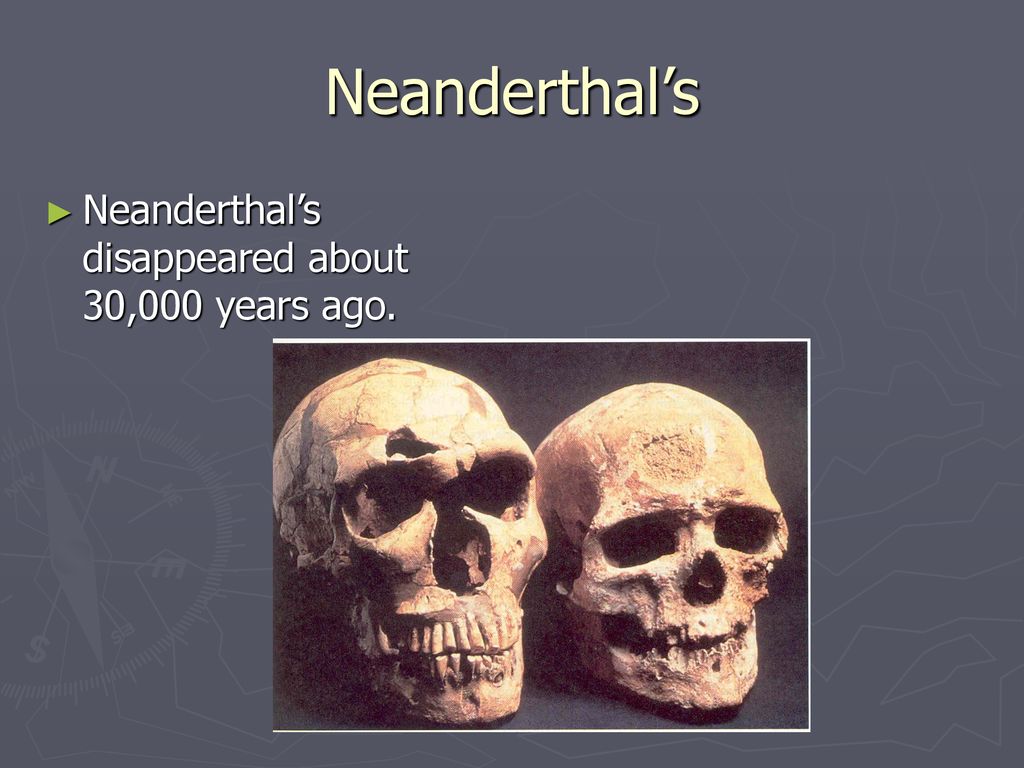 Neanderthal’s Neanderthal’s disappeared about 30,000 years ago.