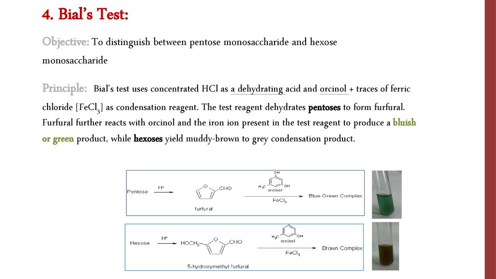 4. Bial’s Test: Objective: To distinguish between pentose monosaccharide and hexose monosaccharide.