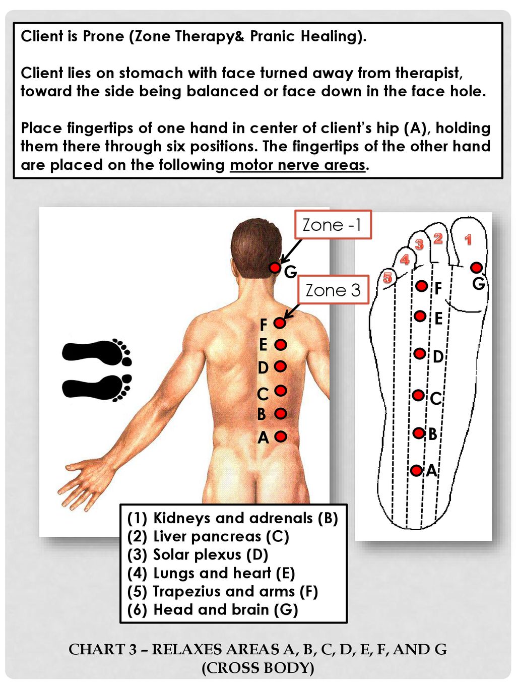 Zone Therapy Body Chart