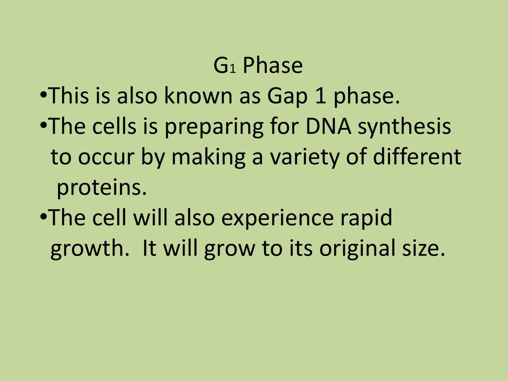 The Cell Cycle Essential Standard โ Analyze how cells grow and ... Biology Diagrams