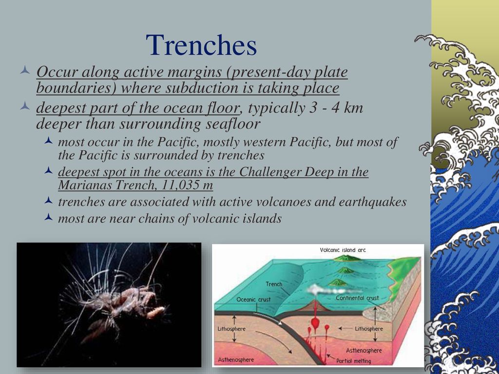 Bathymetry Of The Ocean Floor Ppt Download