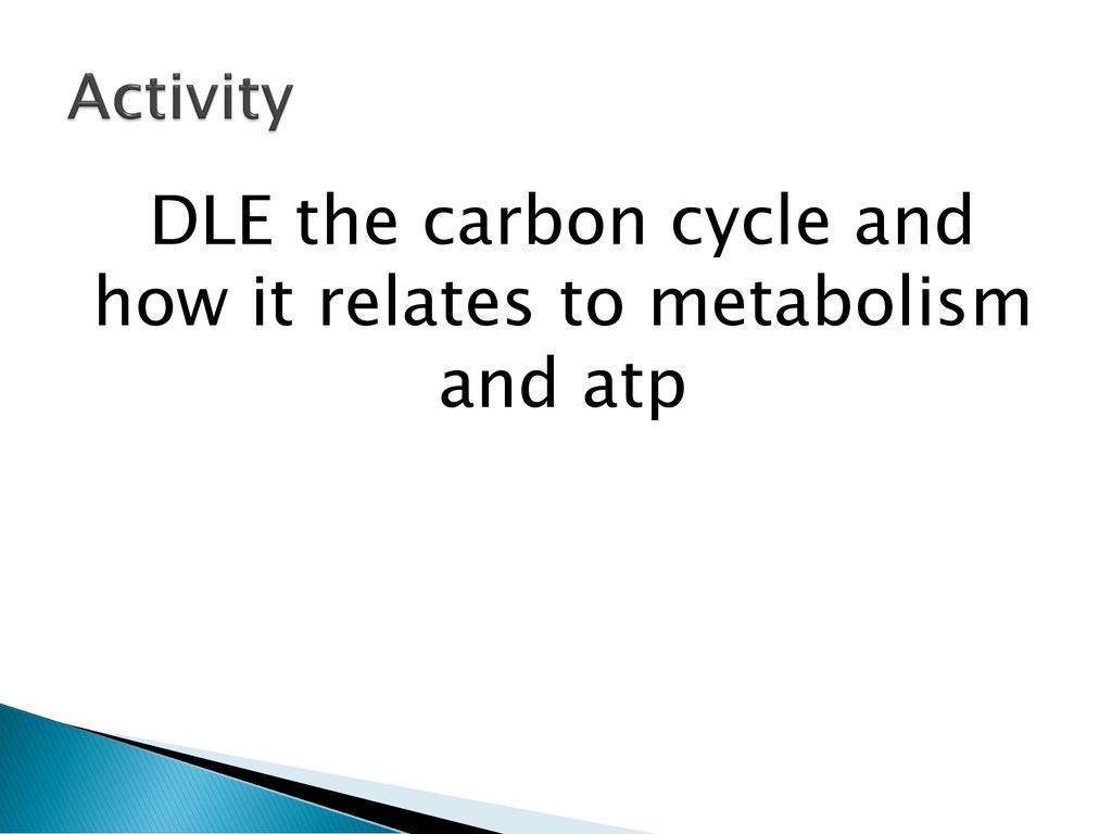 DLE the carbon cycle and how it relates to metabolism and atp