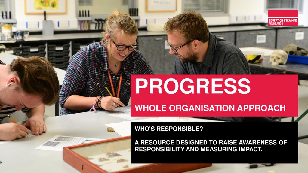 Progress Whole organisation approach