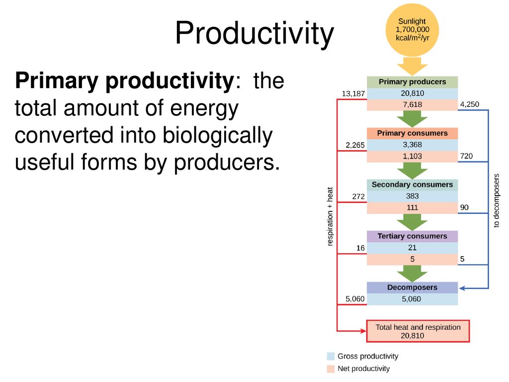 Biology is a Hierarchy Every level of biological organization is built ... Biology Diagrams