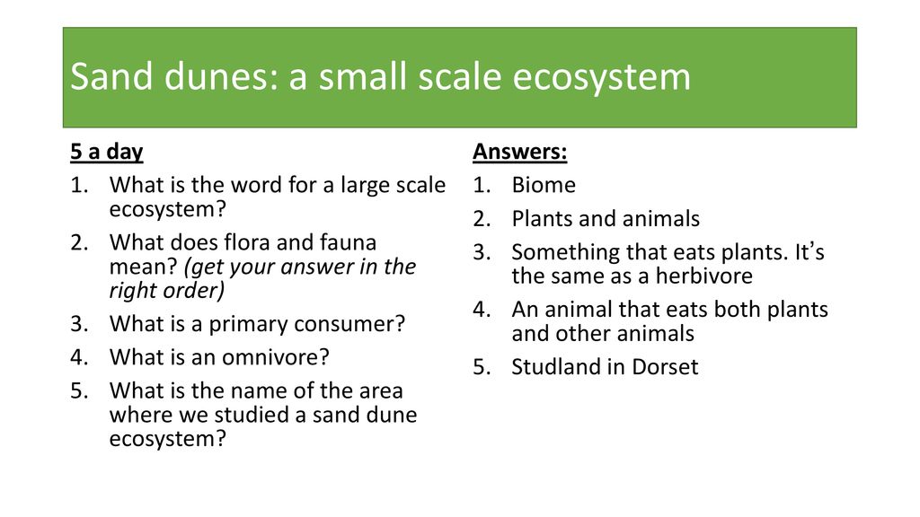 Ecosystems We Are Revising Topic Today Ppt Download ecosystems-we-are-revising-topic-today-ppt-download