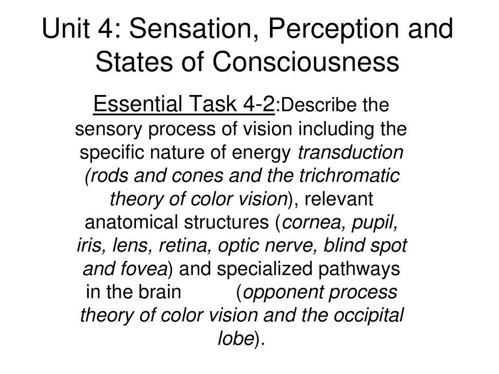 Unit 4: Sensation, Perception and States of Consciousness - ppt download