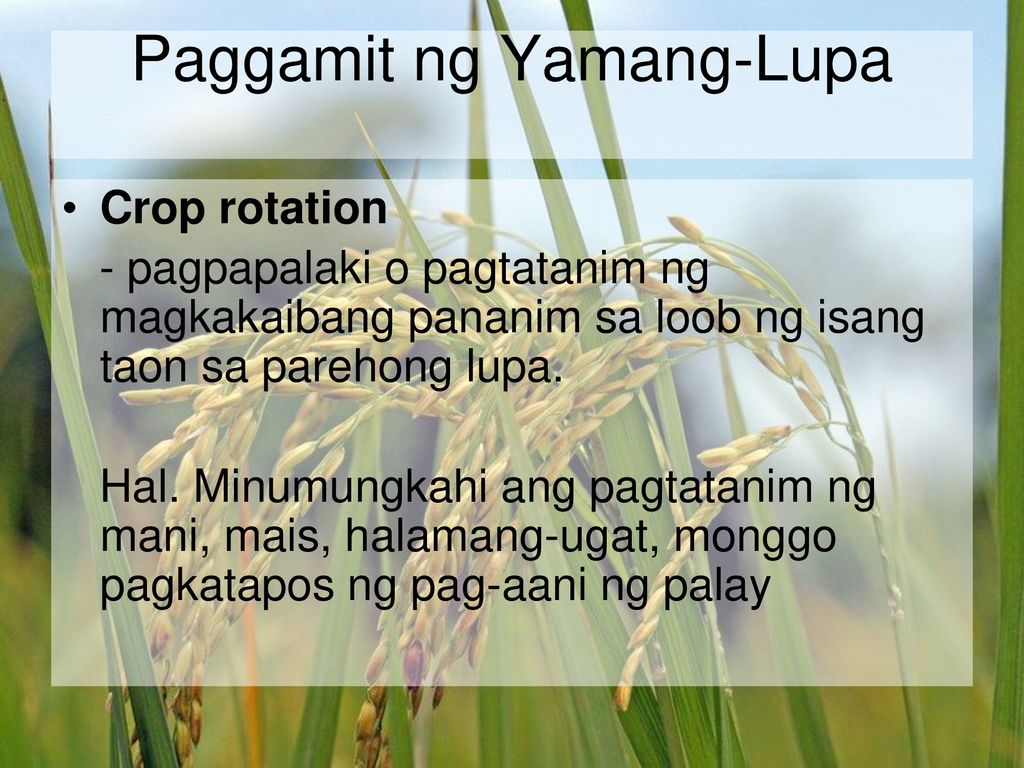 Mga Sanhi At Bunga Ng Kalamidad Sa Ating Kapaligiran Youtube