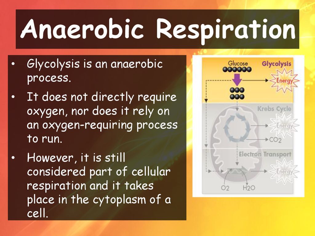 Cellular Respiration: An Overview - ppt download