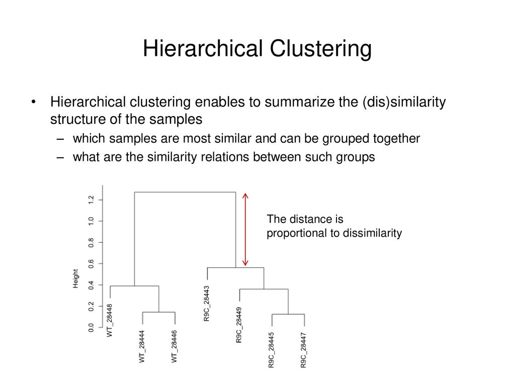 Microarray Gene Expression Analysis - ppt download