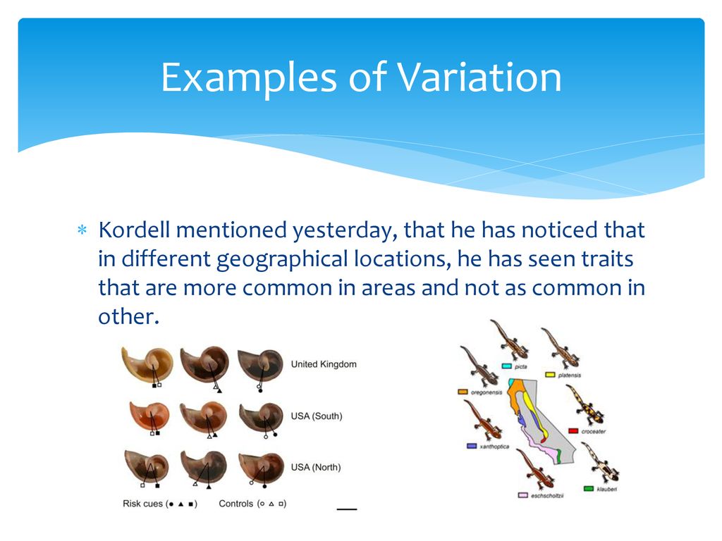 10/14 Daily Catalyst Pg. 33 Variation - ppt download