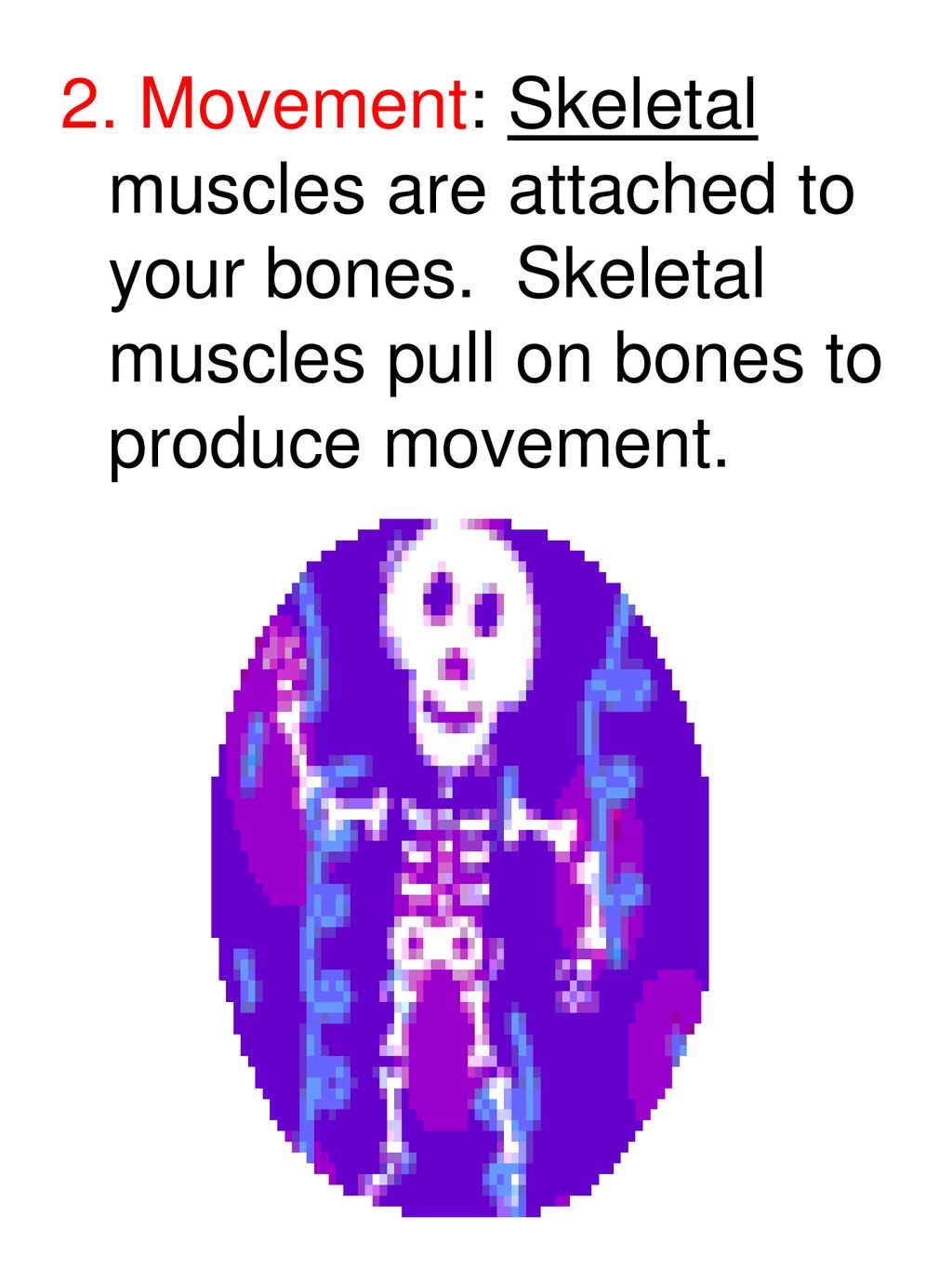 2. Movement: Skeletal muscles are attached to your bones