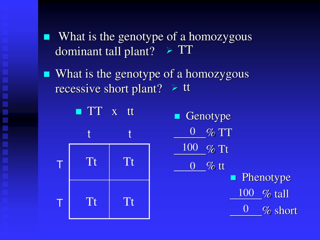 a plant with the genotype tt is called