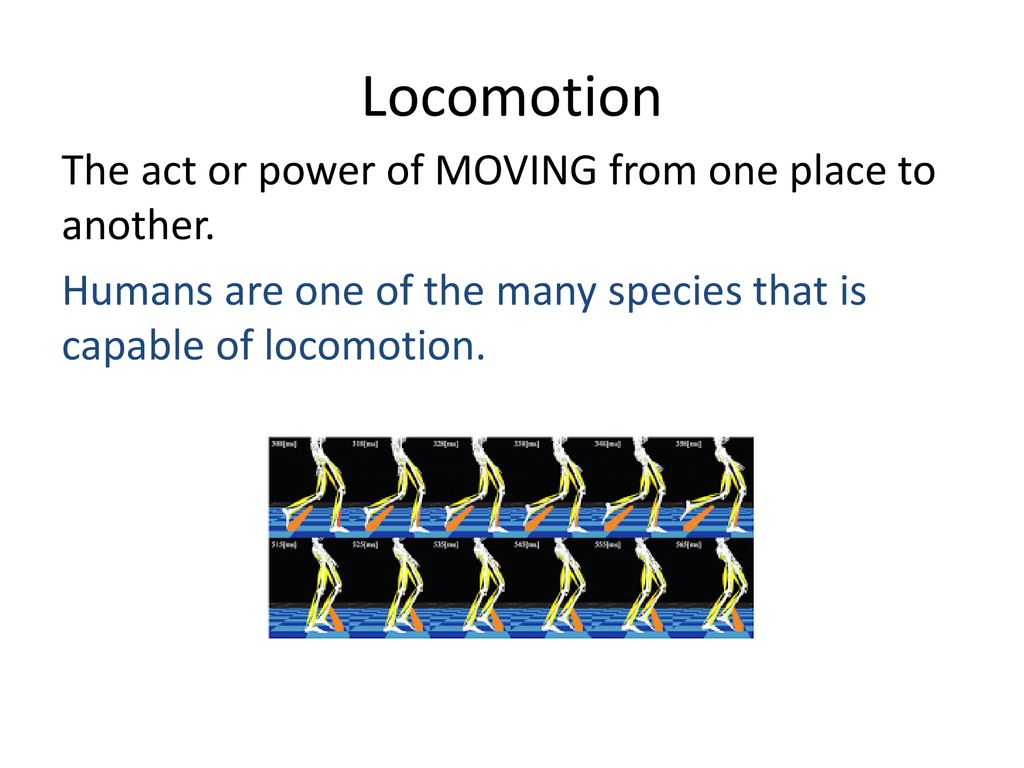 Locomotion The act or power of MOVING from one place to another.