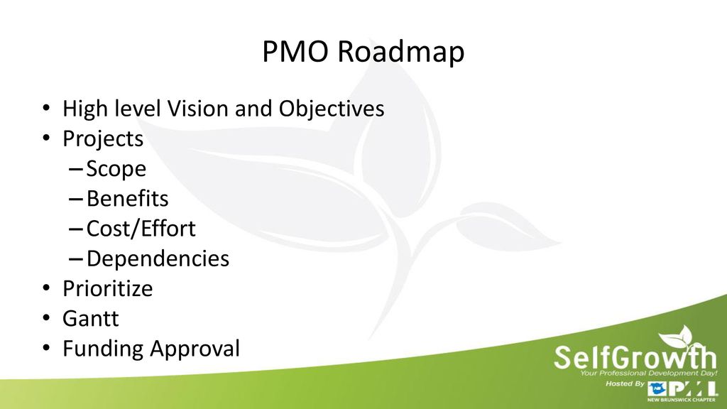 PMO Roadmap High level Vision and Objectives Projects Scope Benefits