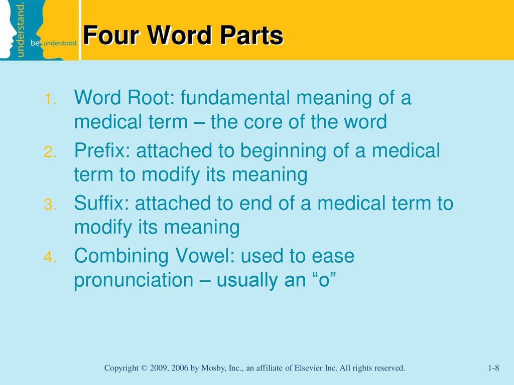 Introduction to Word Parts ppt download
