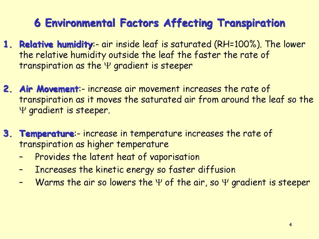 factors that affect transpiration in plants