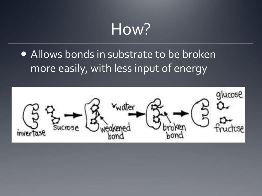 How Allows bonds in substrate to be broken more easily, with less input of energy