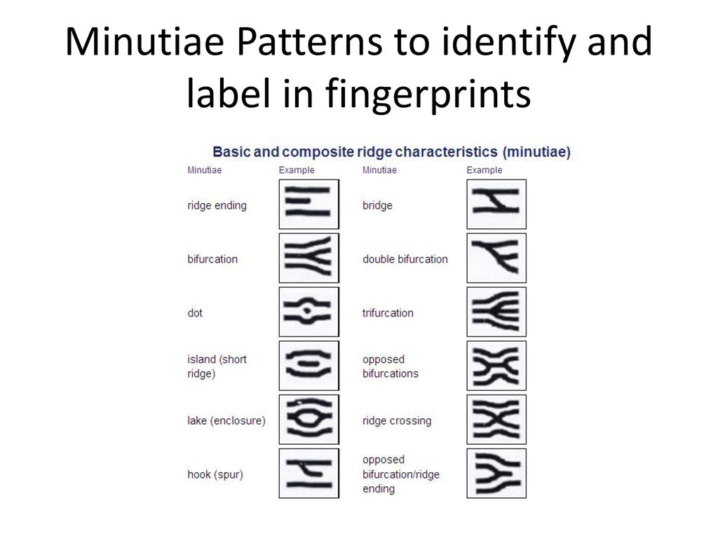 Minutiae Fingerprints Types