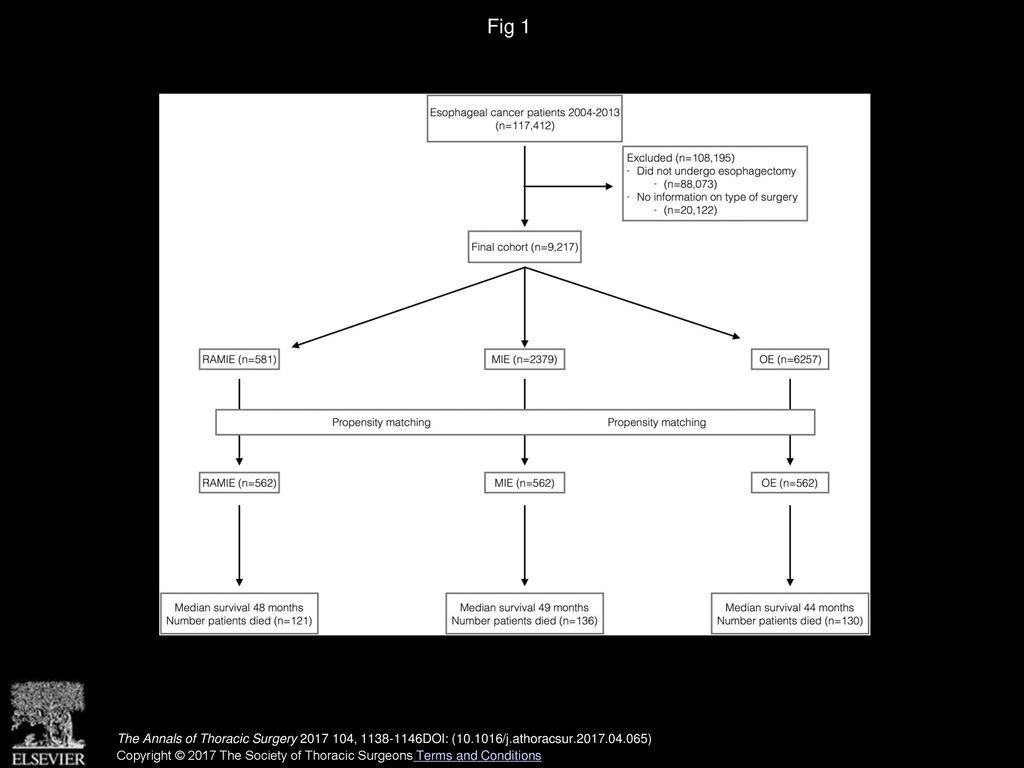 Fig 1 Consort diagram. (MIE = minimally invasive esophagectomy; OE = open esophagectomy; RAMIE = robotic-assisted minimally invasive esophagectomy.)