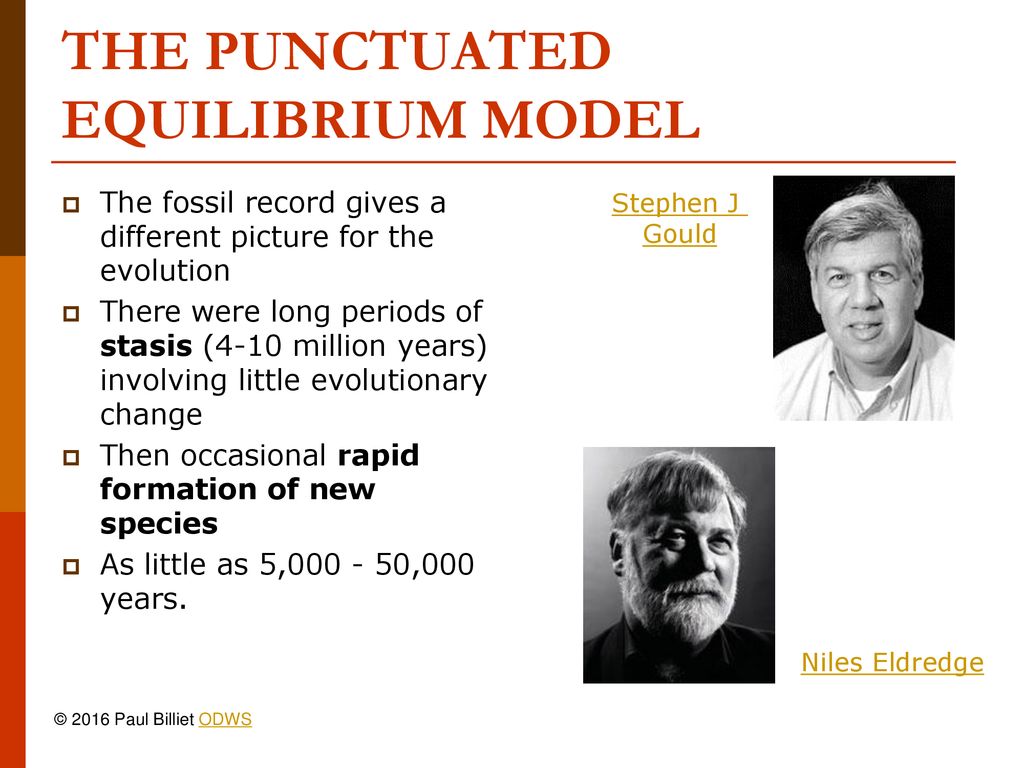Punctuated equilibrium ppt download