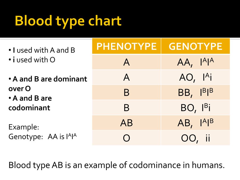 Blood Phenotype Chart