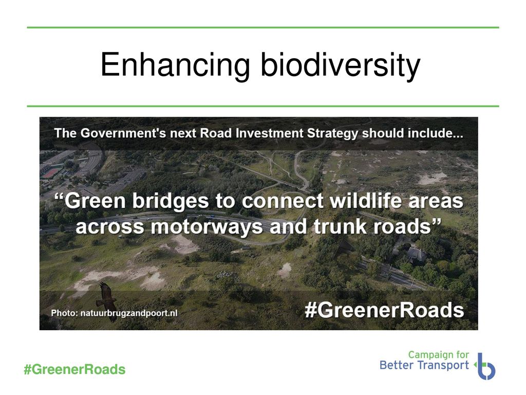 Better Roads: Environment And Sustainability - Ppt Download