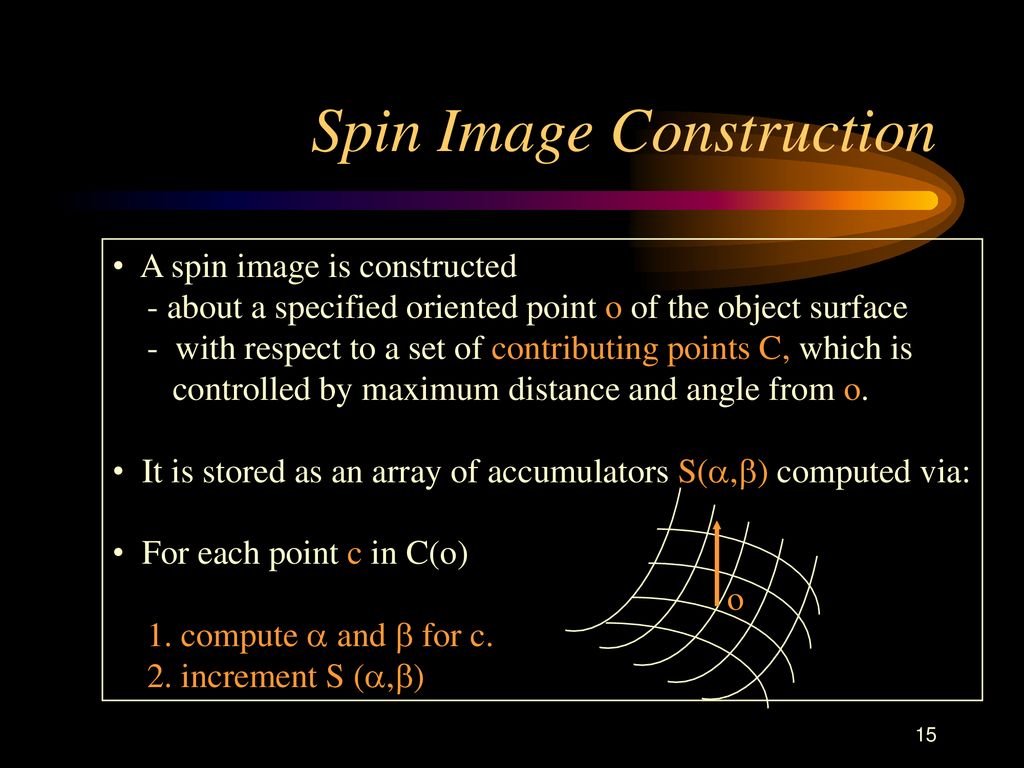Spin Image Construction