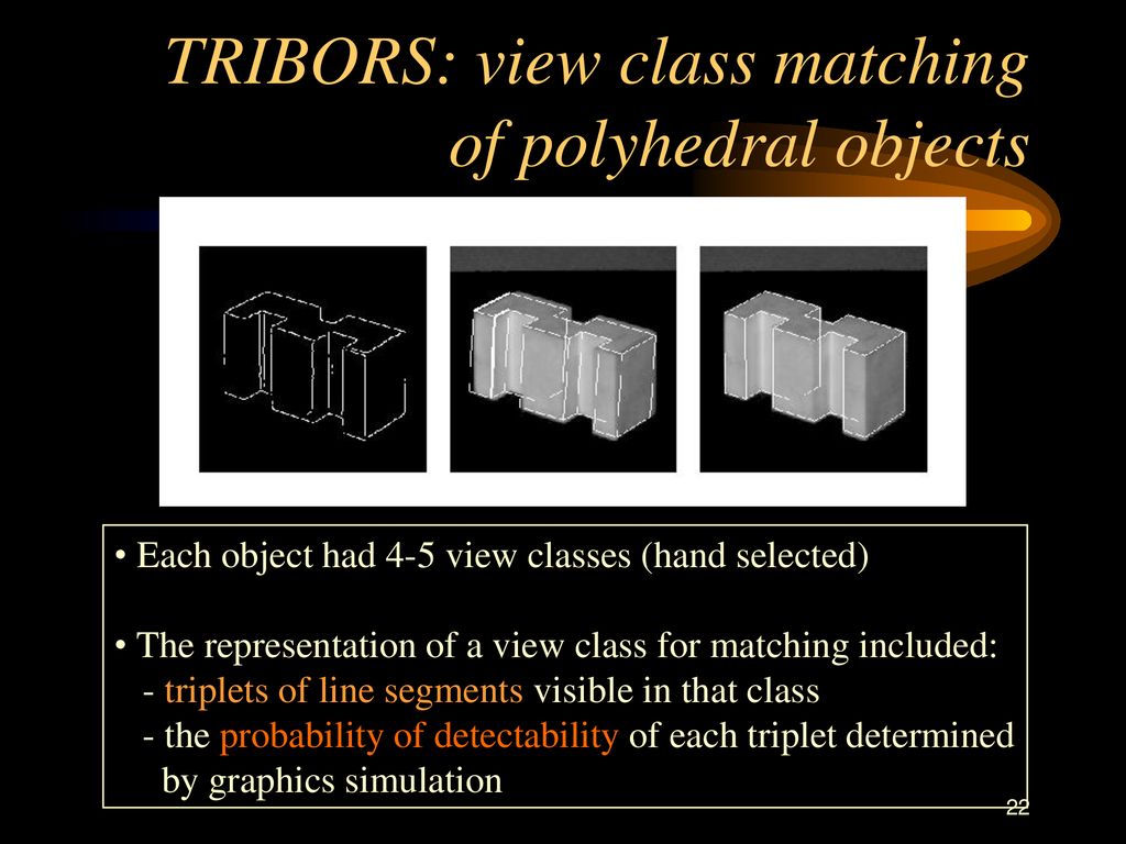 TRIBORS: view class matching of polyhedral objects
