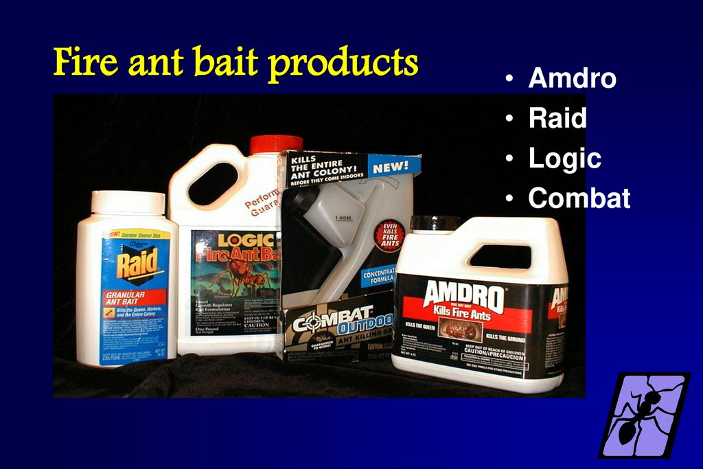 Do-it-yourself Fire Ant Control - ppt download