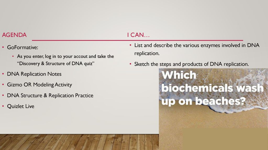 Agenda I Can List And Describe The Various Enzymes Involved In Dna Replication Sketch The Steps And Products Of Dna Replication Goformative As You Ppt Download