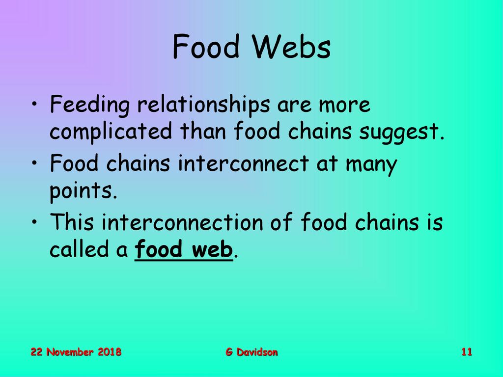 The Biosphere How It Works Mr G Davidson Ppt Download the-biosphere-how-it-works-mr-g-davidson-ppt-download