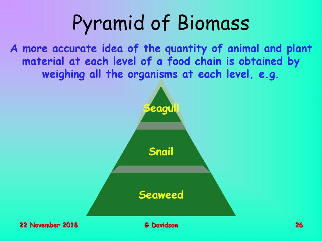 The Biosphere How It Works Mr G Davidson. - Ppt Download