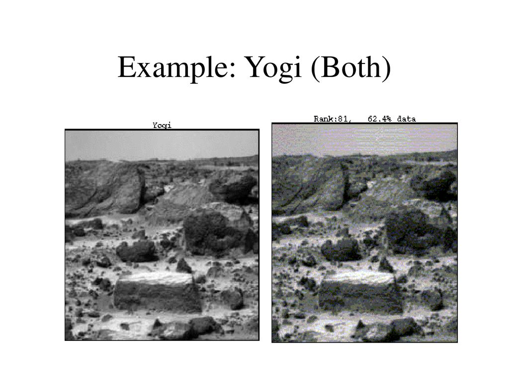 Example: Yogi (Both)