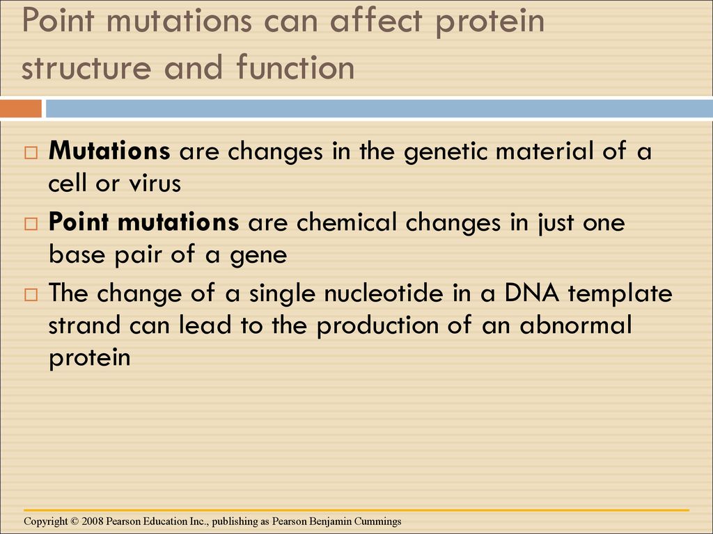 Point mutations can affect protein structure and function