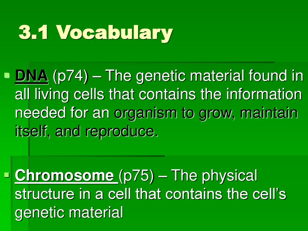 3.1 Vocabulary