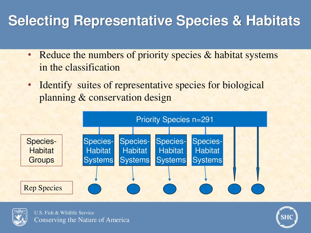 Species-Habitat Groups