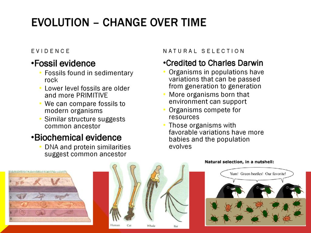 You asked for it biology review ppt download