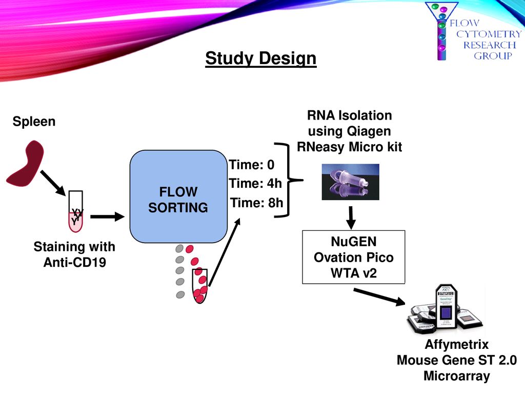 Evaluating the effects of cell sorting on gene expression ppt download