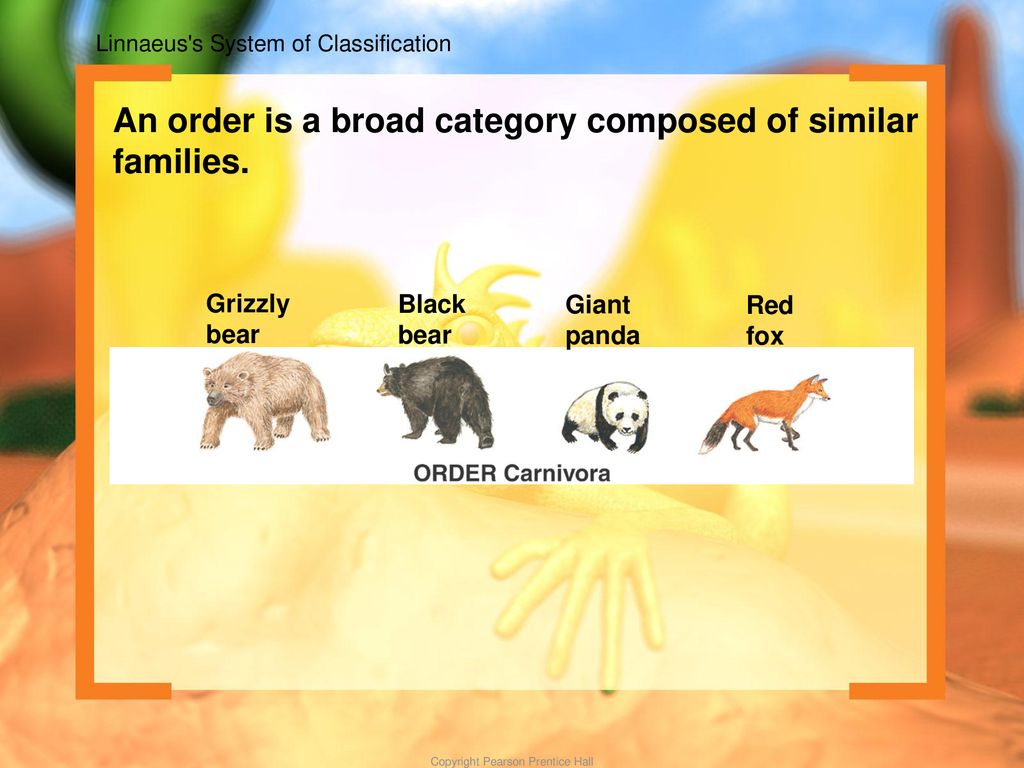 copyright cmassengale - ppt download