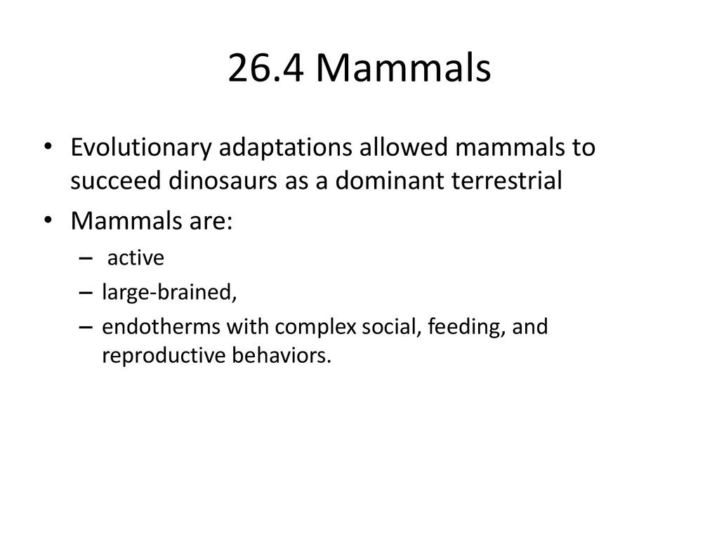 26.4 Mammals Evolutionary adaptations allowed mammals to succeed dinosaurs as a dominant terrestrial.