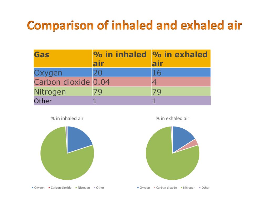 gaseous-exchange-ventilation-ppt-download