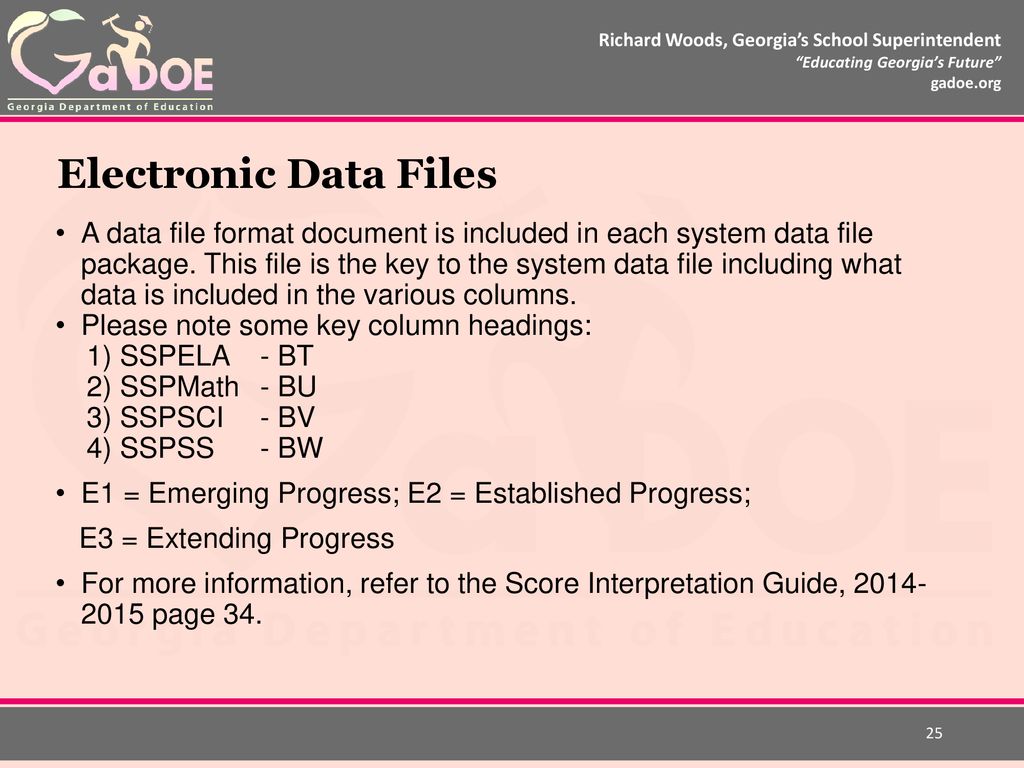 Electronic Data Files