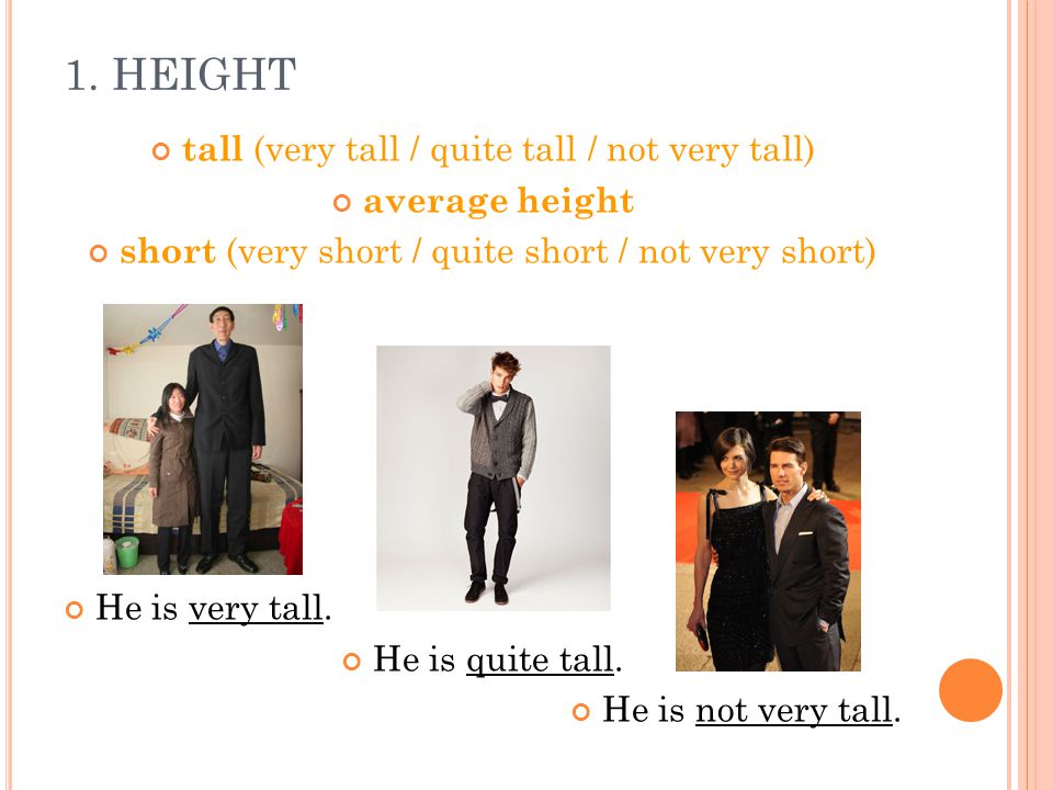 1. HEIGHT tall (very tall / quite tall / not very tall) average height