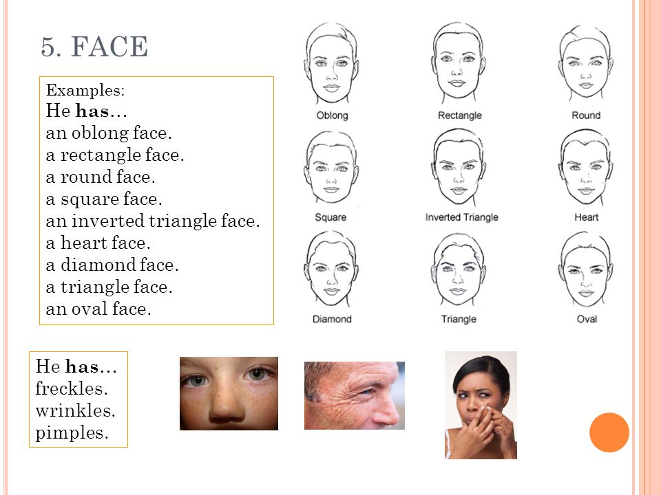 5. FACE He has… an oblong face. a rectangle face. a round face.