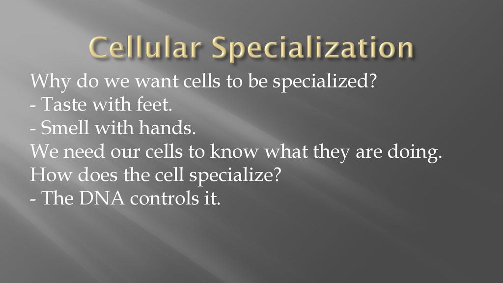 Cellular Specialization