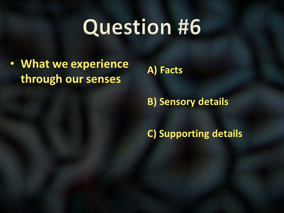 Question #6 What we experience through our senses