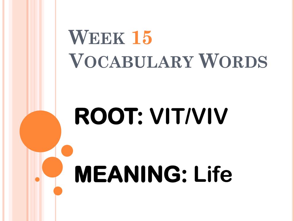Vocabulary Words Vivid Persevere Survival Vivacious Vitality Reflect Ppt Download Vocabulary Words Vivid Persevere Survival Vivacious Vitality Reflect Ppt Download