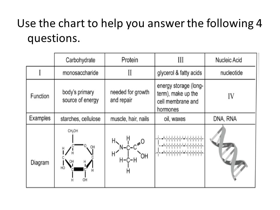 Comparison Chart Of Carbohydrates Lipids Proteins And Nucleic