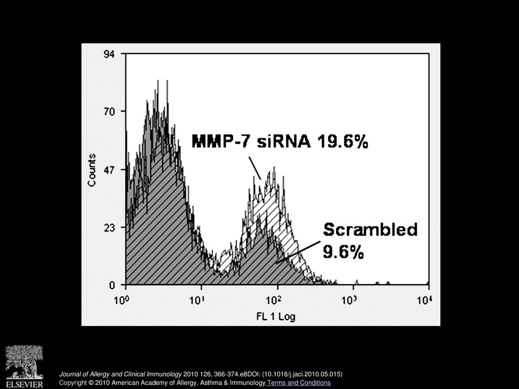 MMP -7 siRNA inhibits mFasL cleavage after cytokine treatment