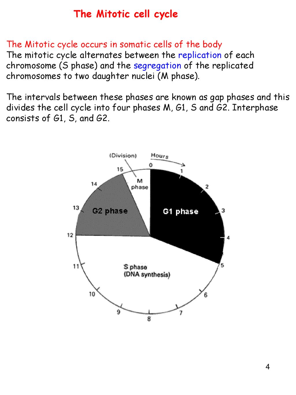 Mitosis and Meiosis Traits (phenotypes) are controlled by genes Biology Diagrams